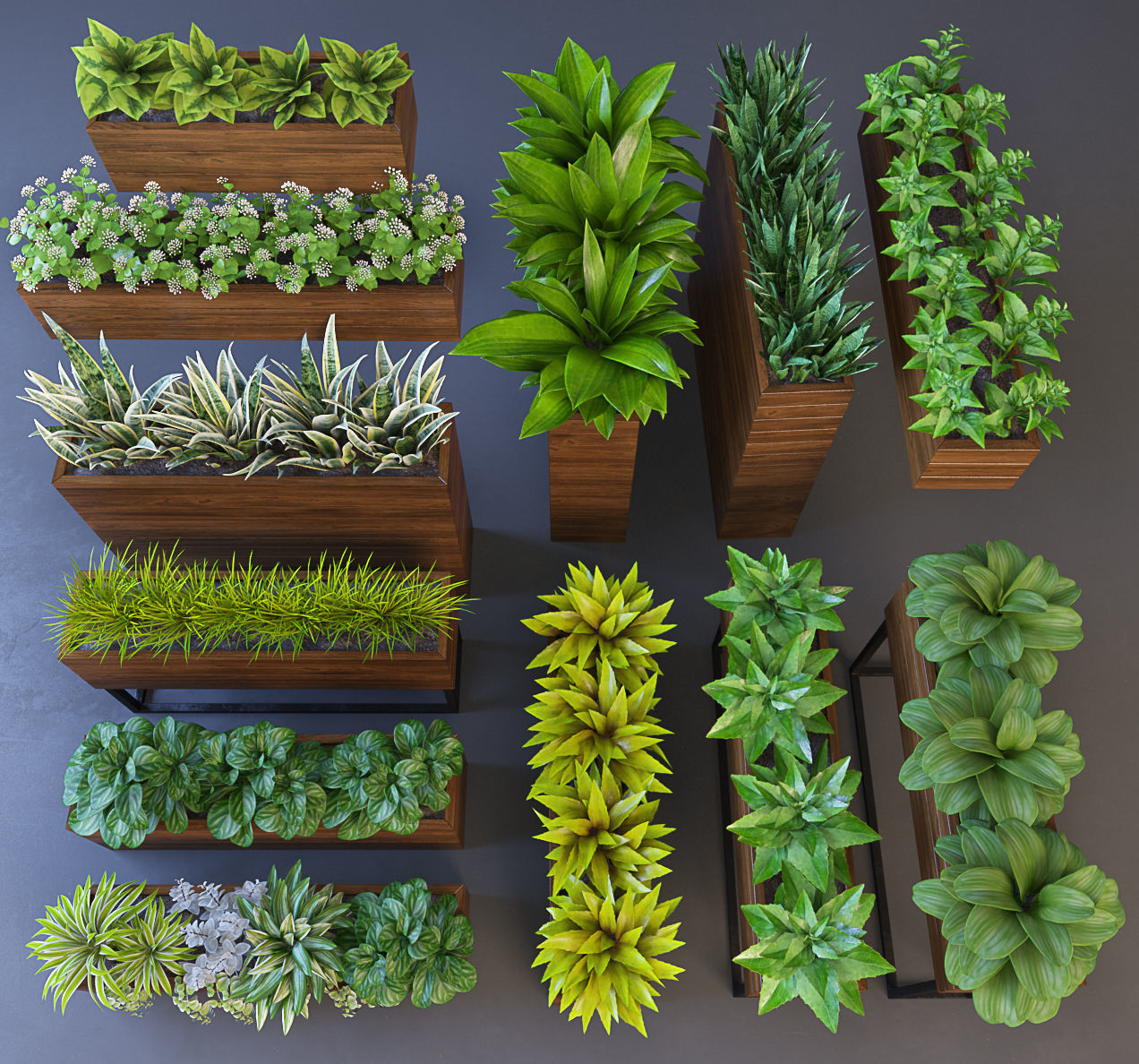 Plant wooden planter with different plants 3D model_3