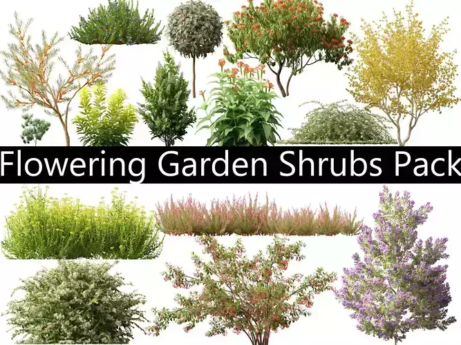 Flowering Garden Shrubs Pack 47