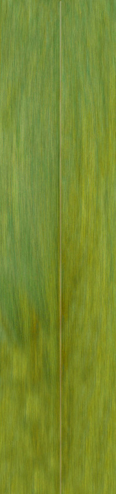 flower tulips in pitcher 3D model_9