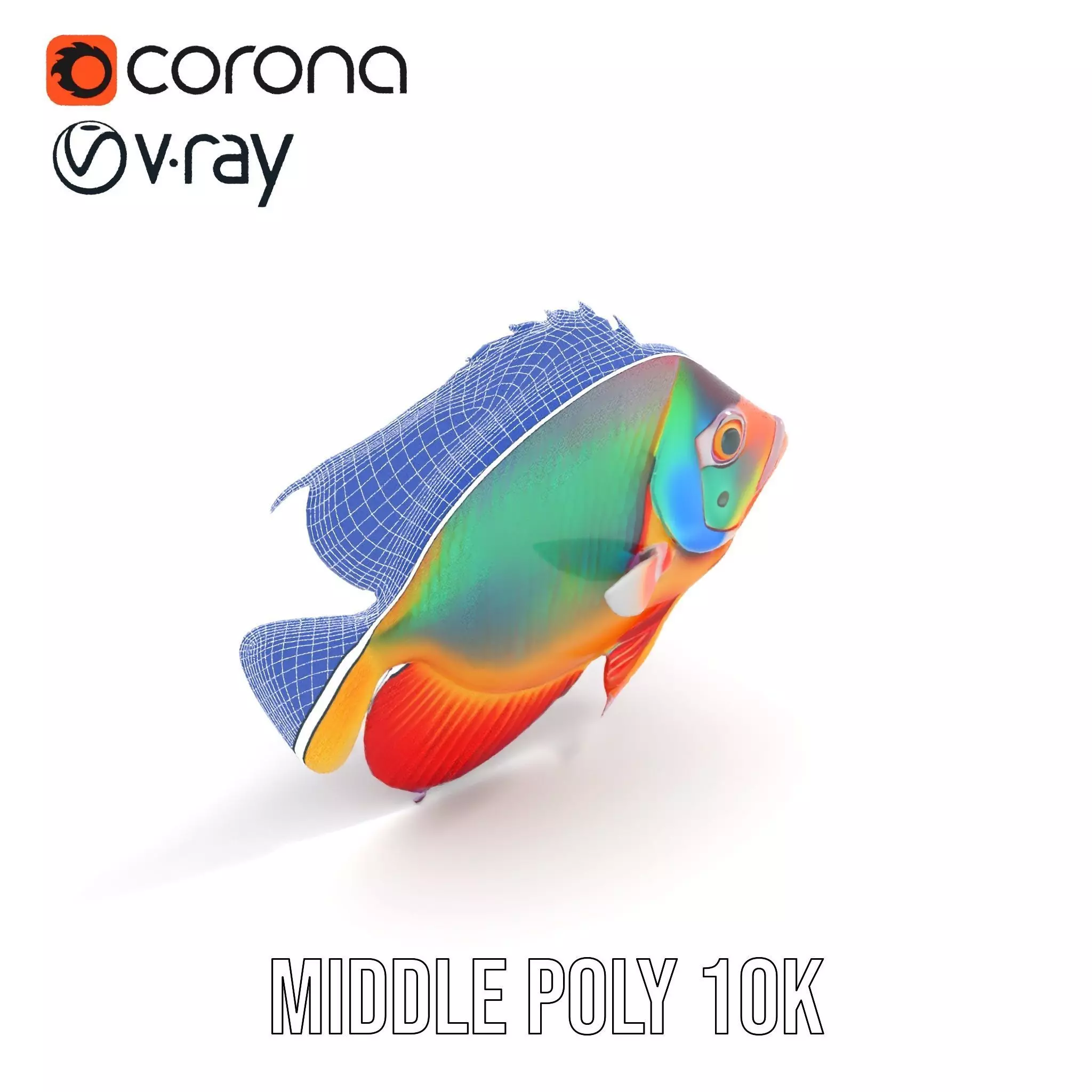 Vibrant Aquatic Fish model pack Low-poly 3D model_20