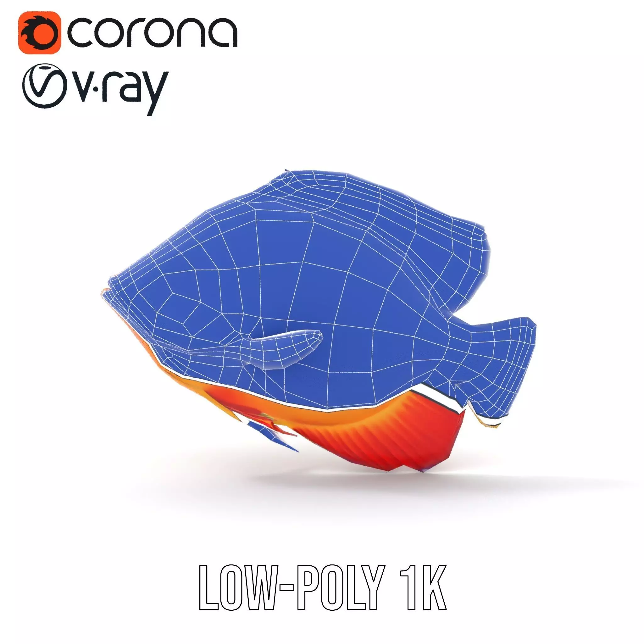 Vibrant Aquatic Fish model pack Low-poly 3D model_26
