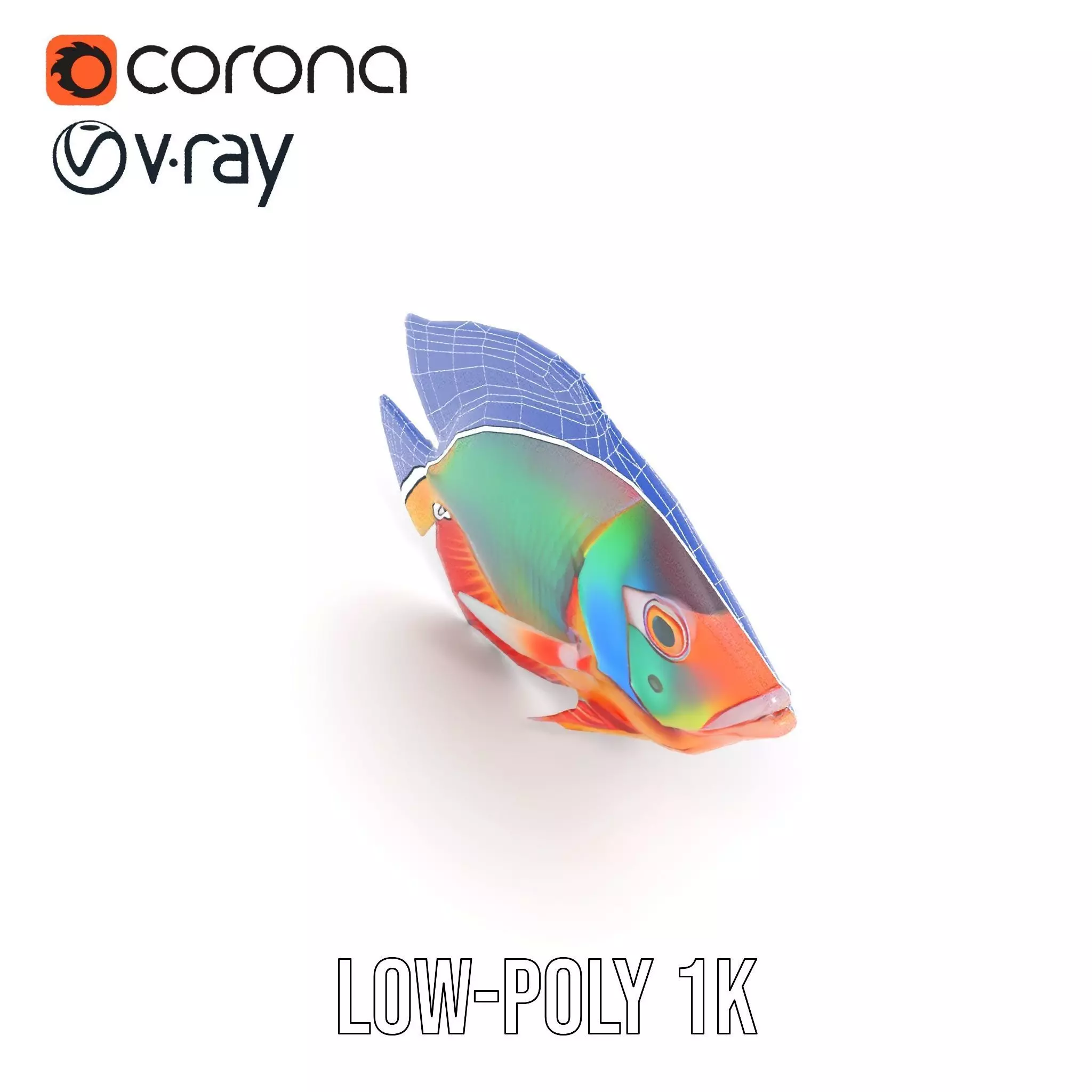 Vibrant Aquatic Fish model pack Low-poly 3D model_21