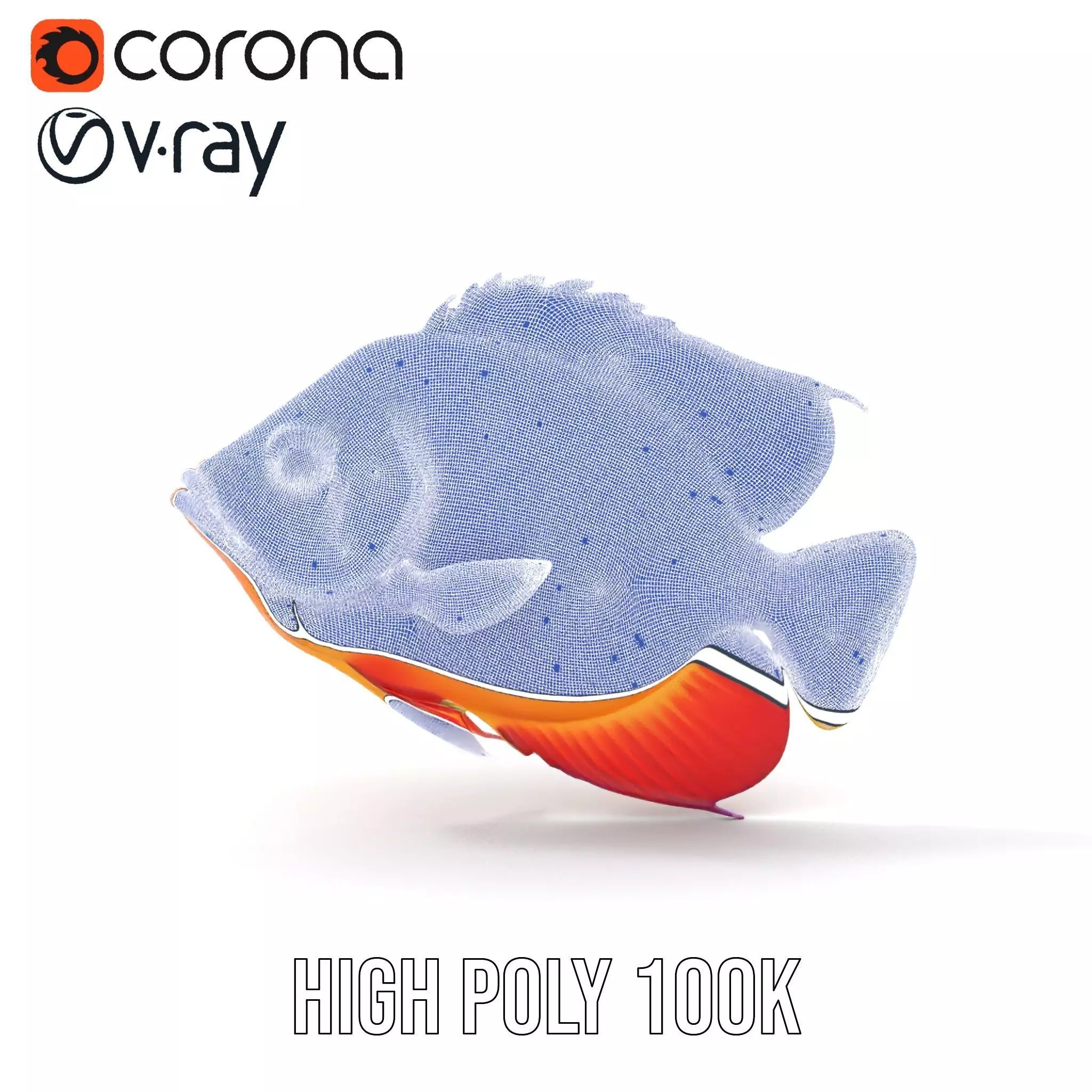 Vibrant Aquatic Fish model pack Low-poly 3D model_35