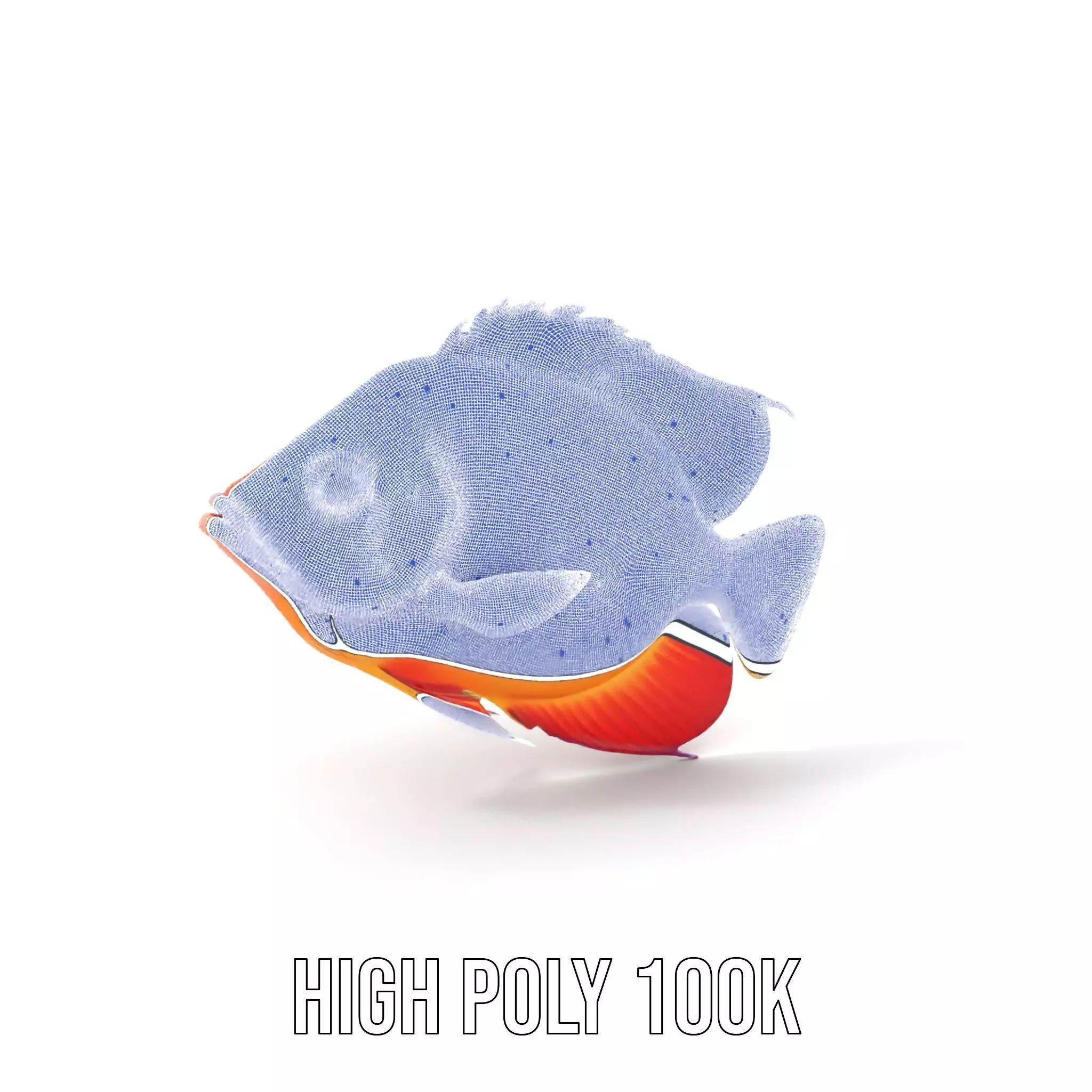 Vibrant Aquatic Fish model pack Low-poly 3D model_5