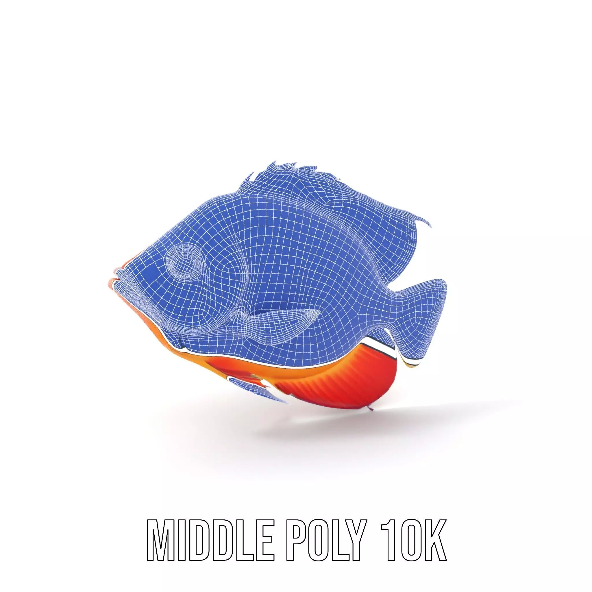 Vibrant Aquatic Fish model pack Low-poly 3D model_14