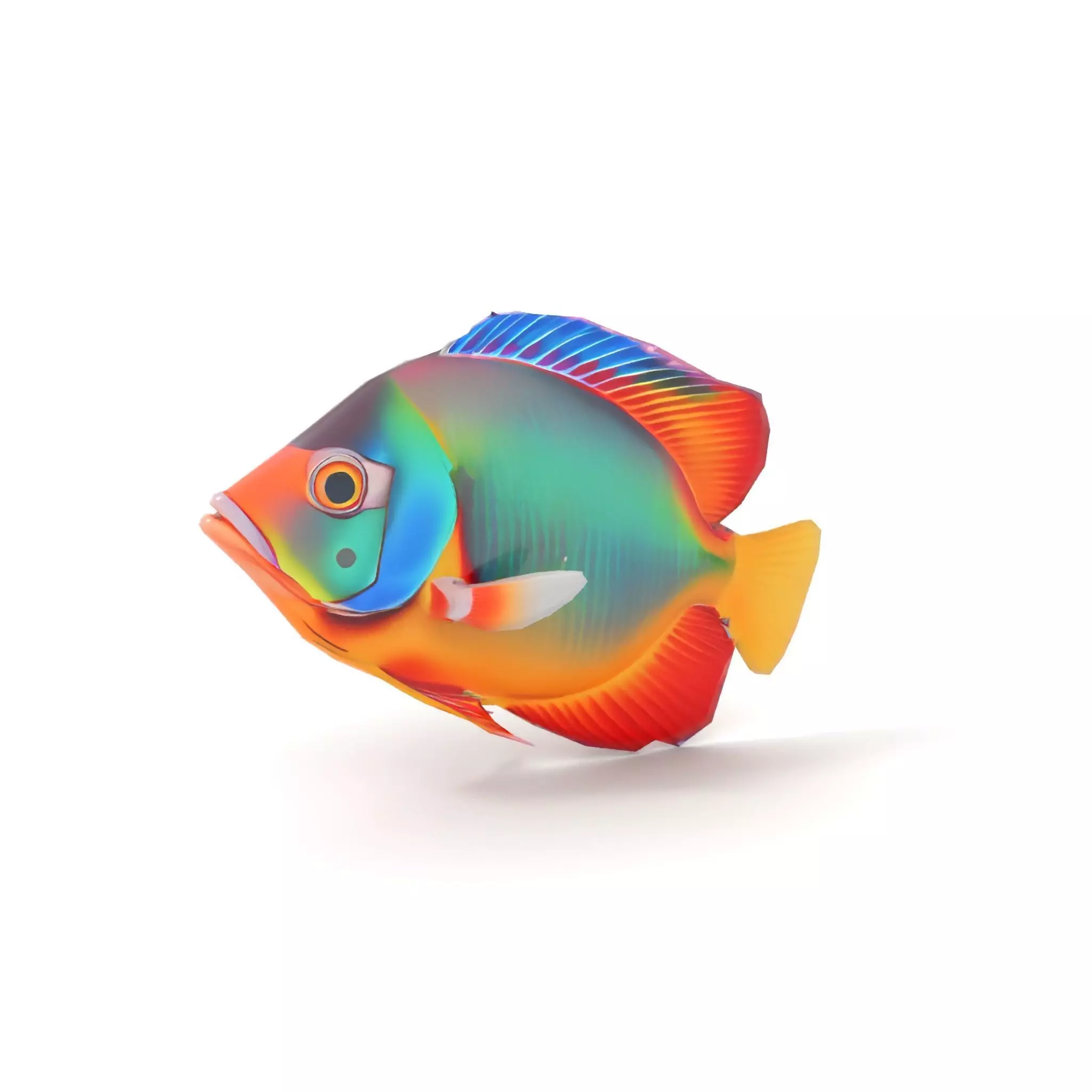 Vibrant Aquatic Fish model pack Low-poly 3D model_8