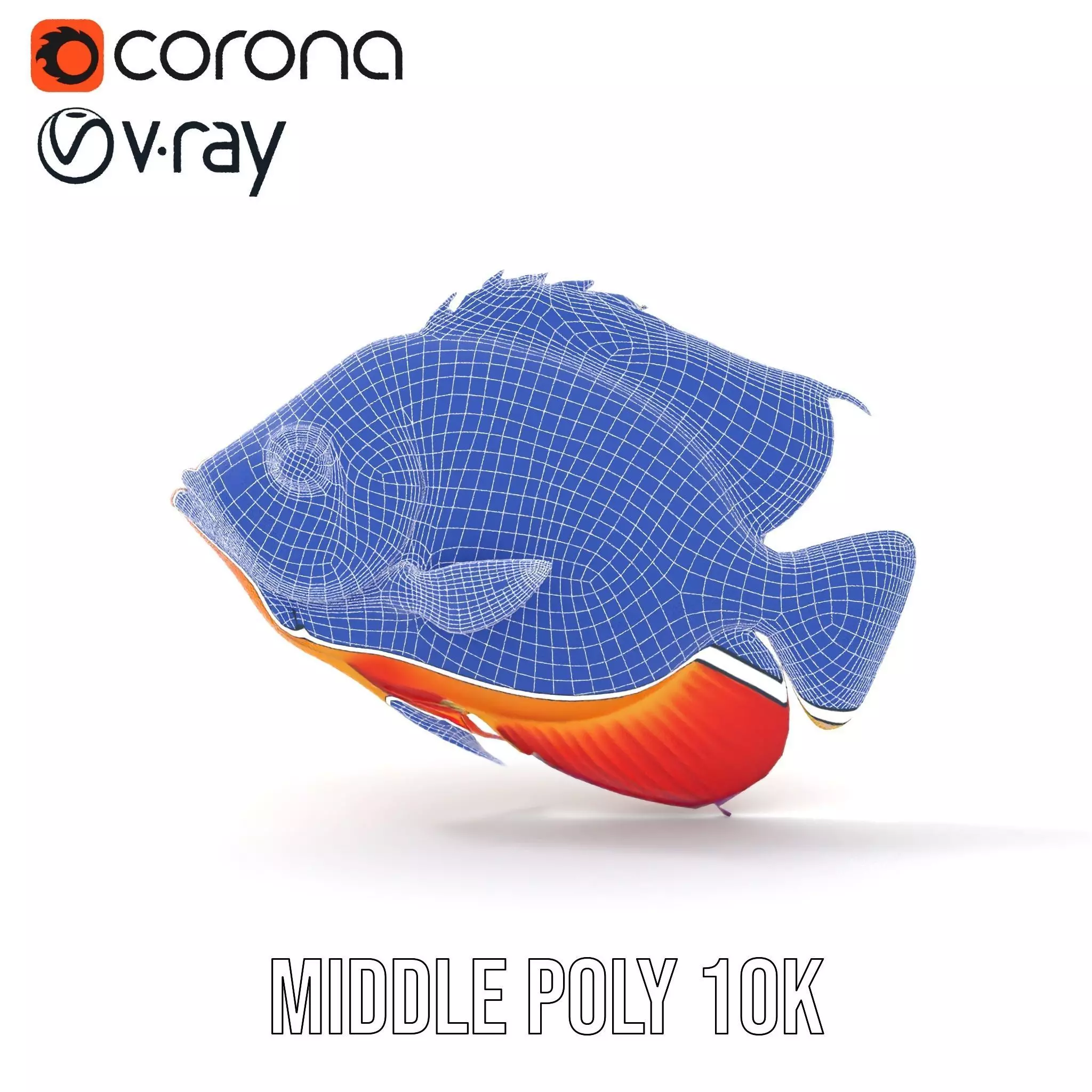 Vibrant Aquatic Fish model pack Low-poly 3D model_31
