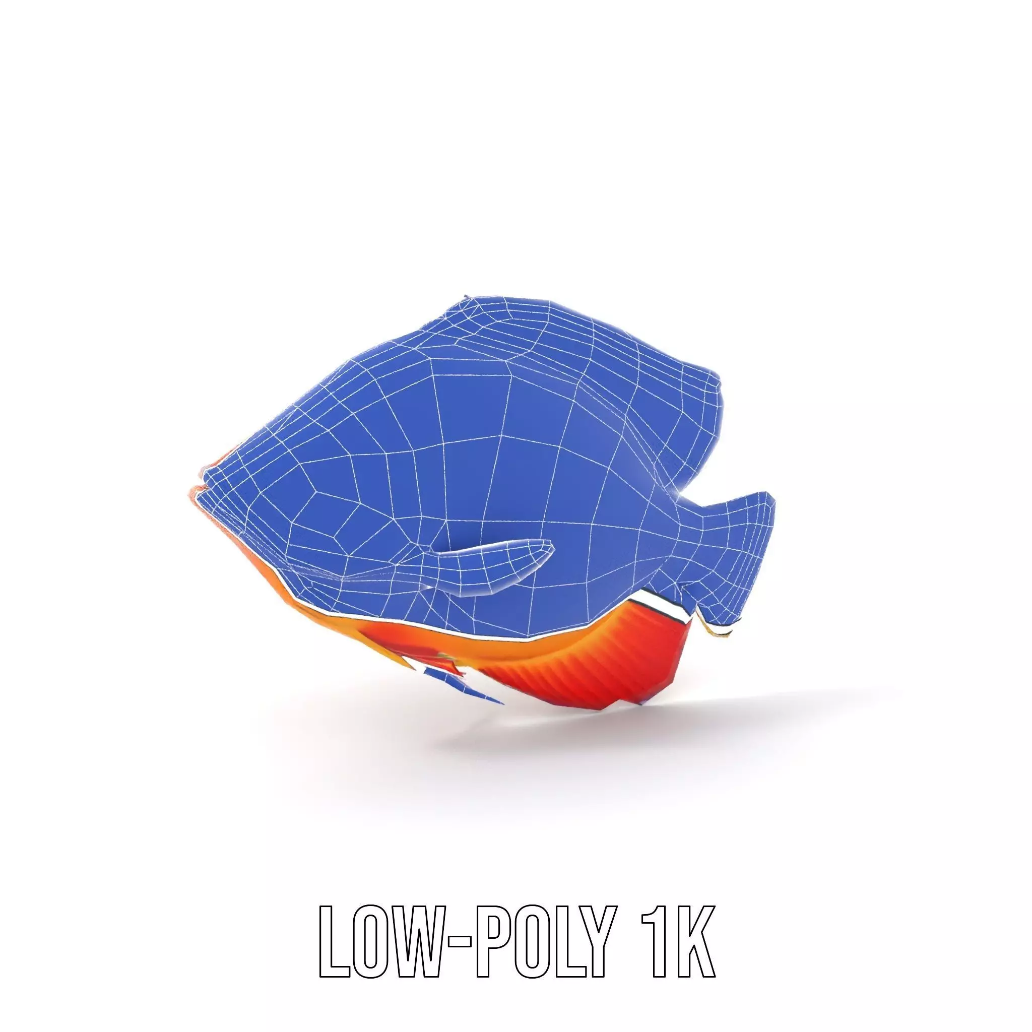 Vibrant Aquatic Fish model pack Low-poly 3D model_13