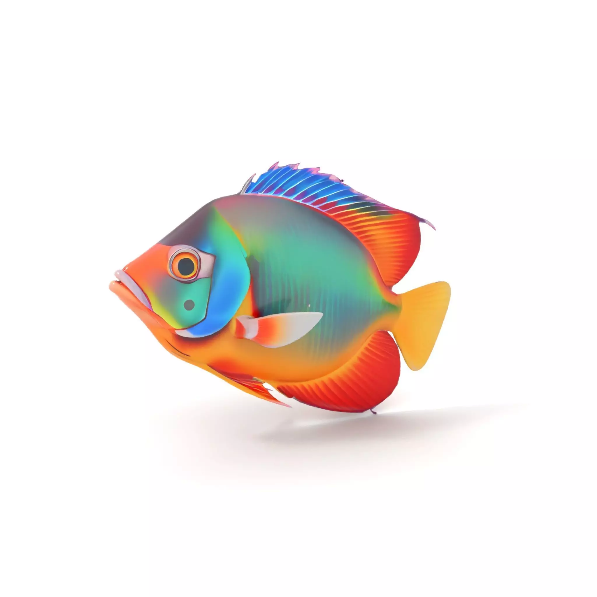 Vibrant Aquatic Fish model pack Low-poly 3D model_7