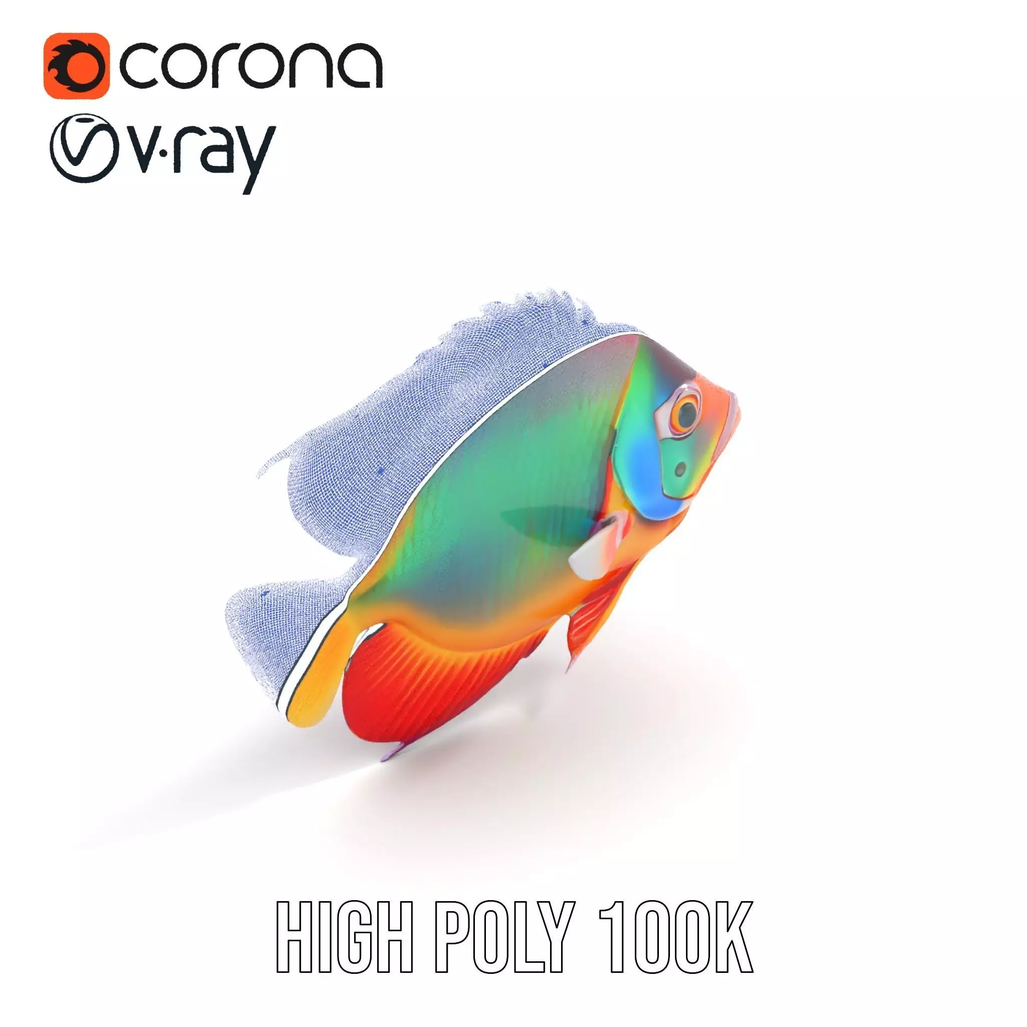 Vibrant Aquatic Fish model pack Low-poly 3D model_22