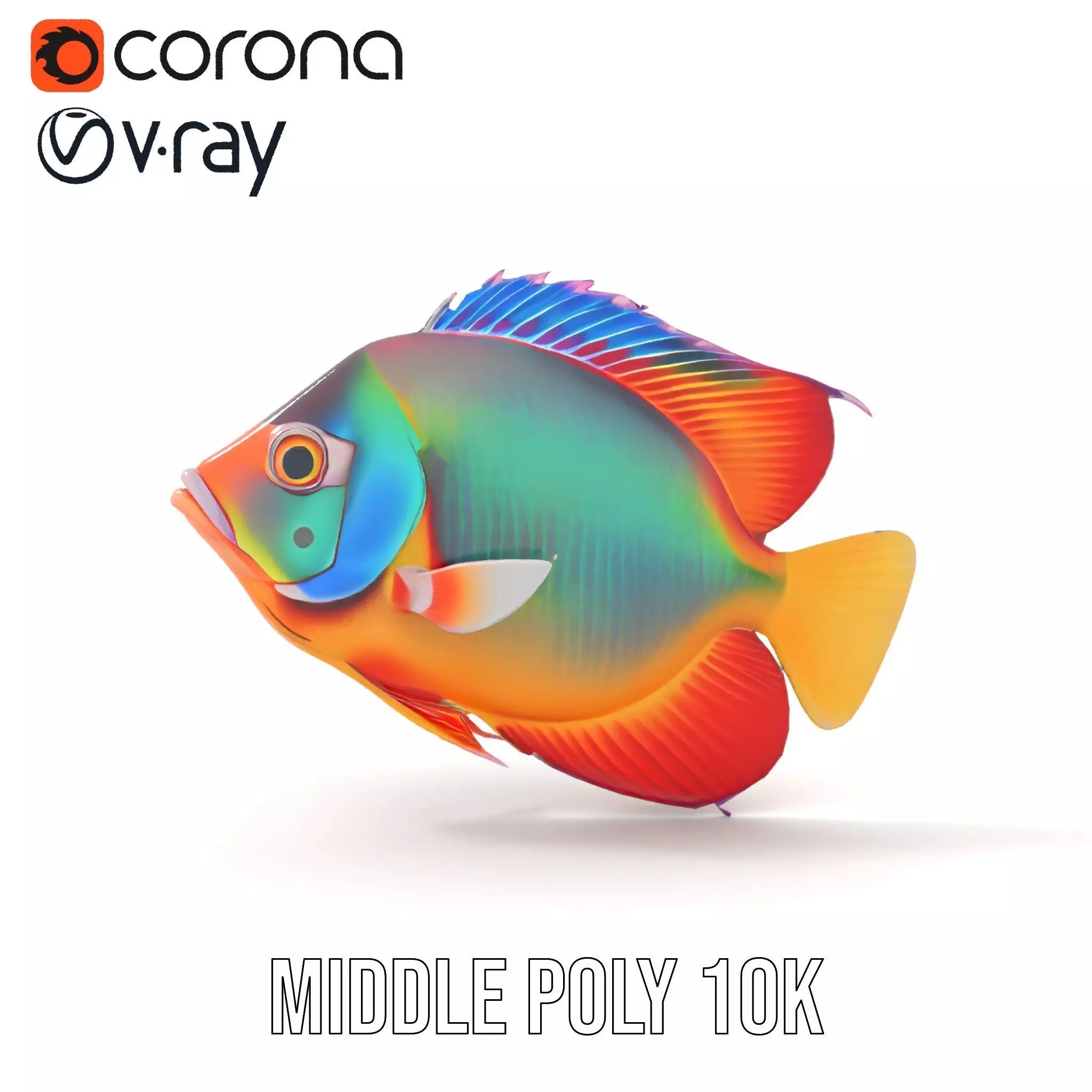 Vibrant Aquatic Fish model pack Low-poly 3D model_23