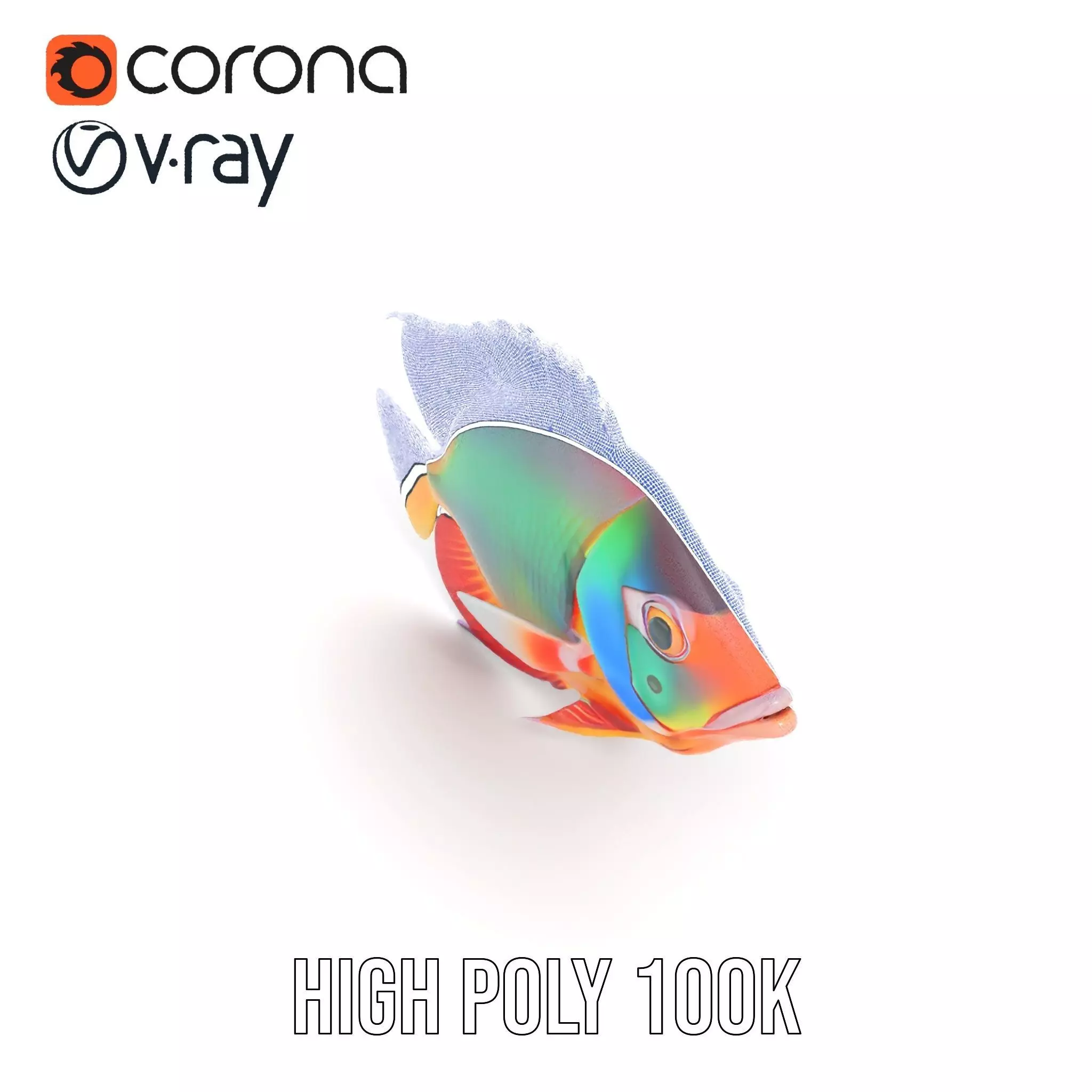 Vibrant Aquatic Fish model pack Low-poly 3D model_33