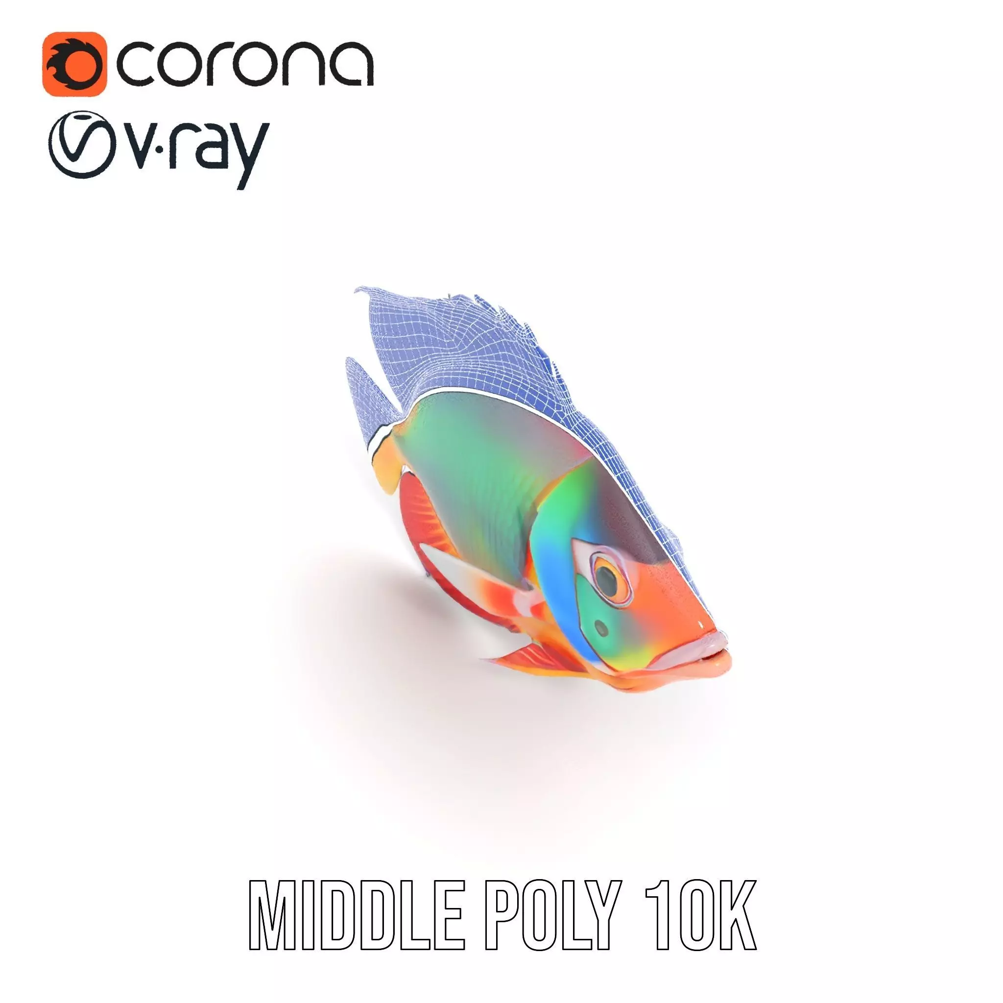 Vibrant Aquatic Fish model pack Low-poly 3D model_28