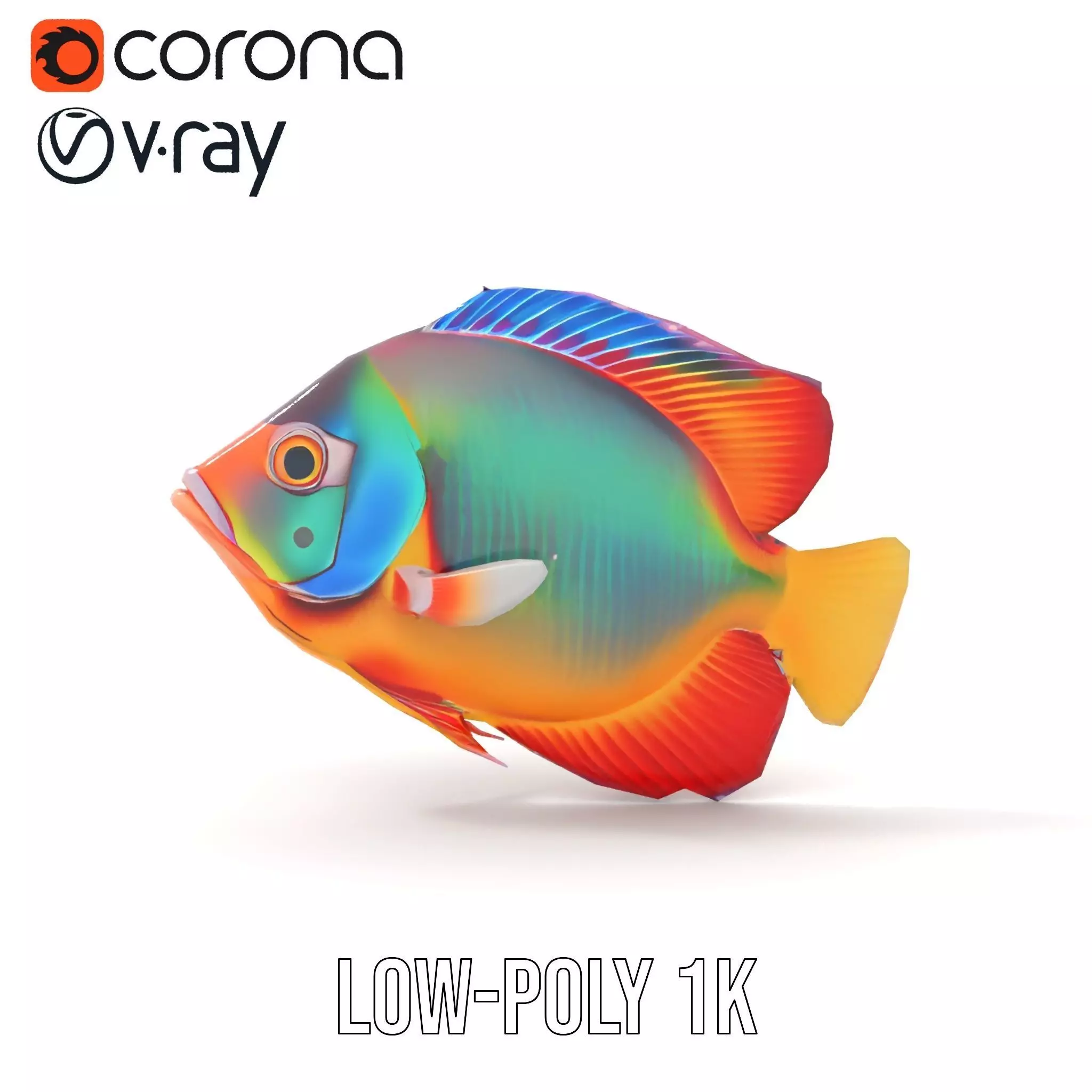 Vibrant Aquatic Fish model pack Low-poly 3D model_32