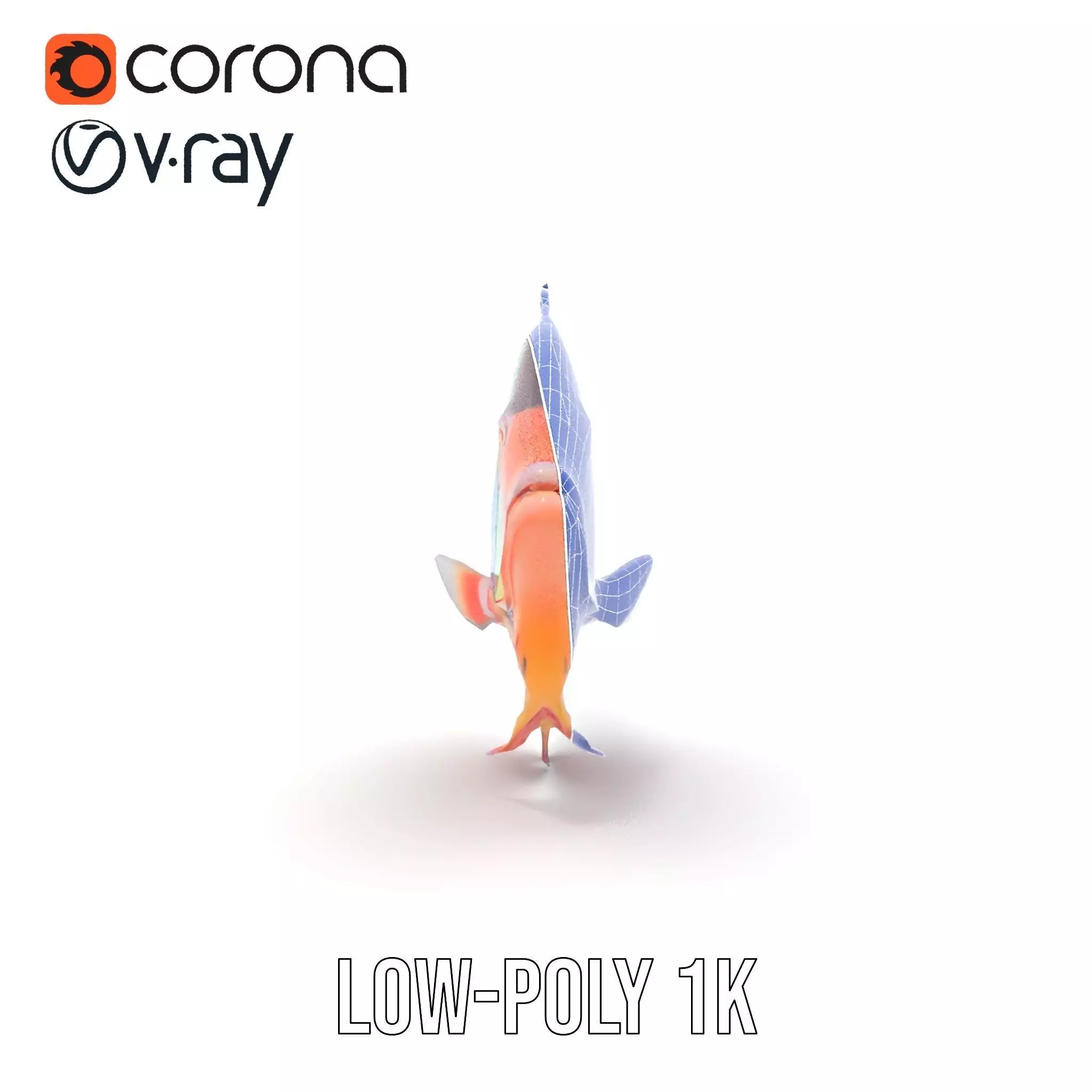 Vibrant Aquatic Fish model pack Low-poly 3D model_18