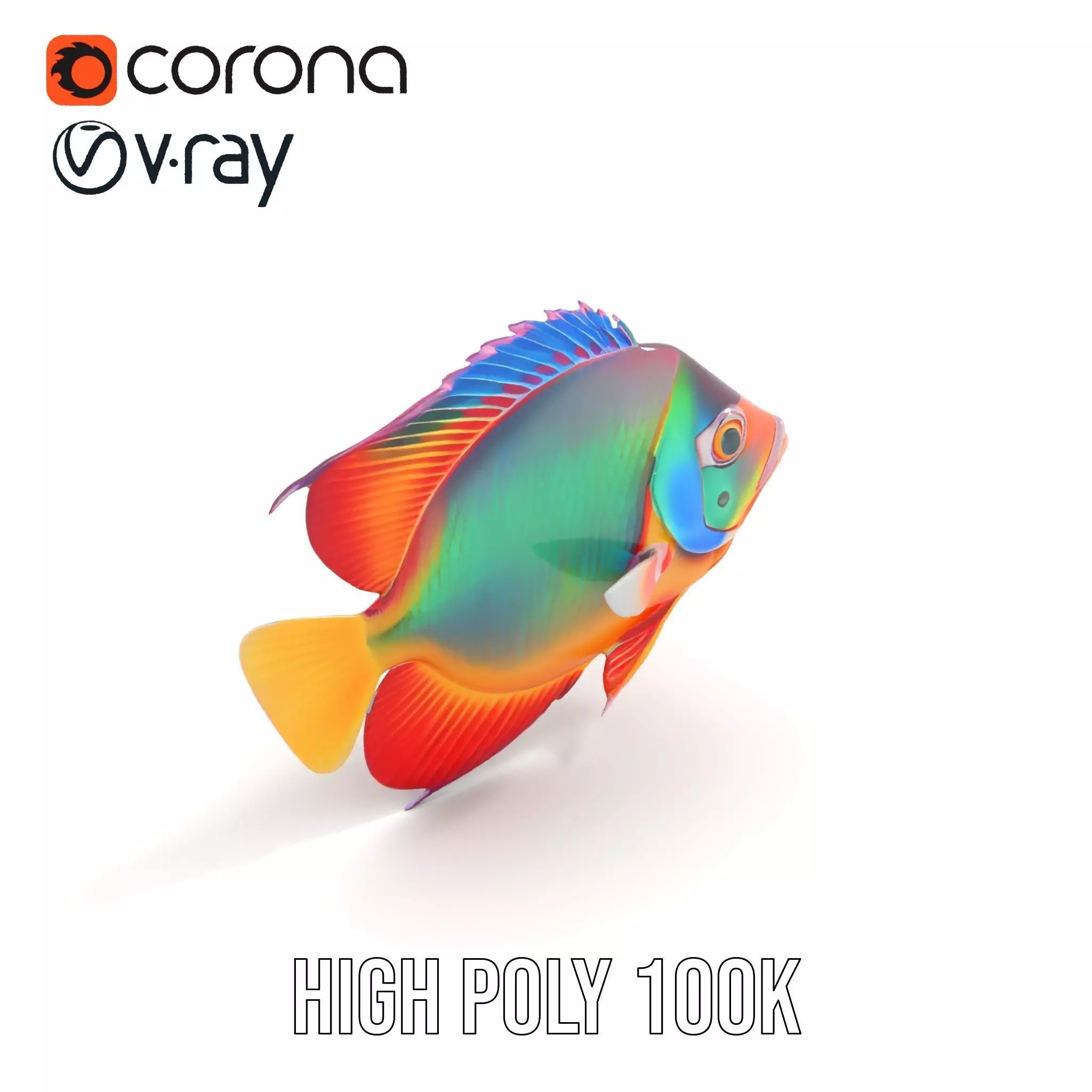 Vibrant Aquatic Fish model pack Low-poly 3D model_16