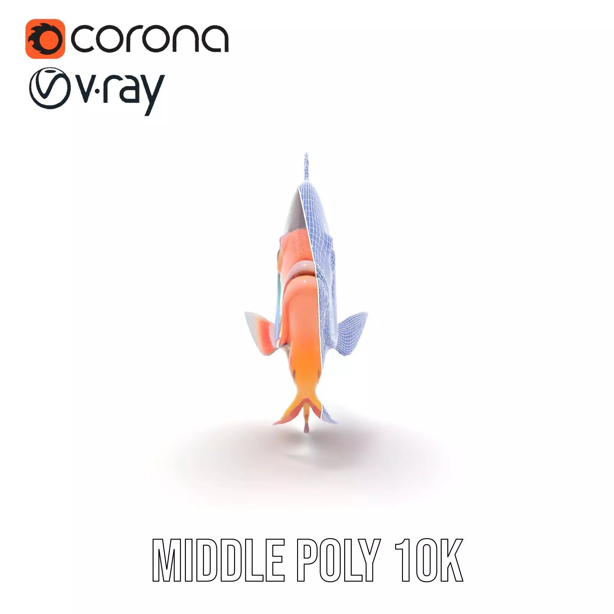 Vibrant Aquatic Fish model pack Low-poly 3D model_25