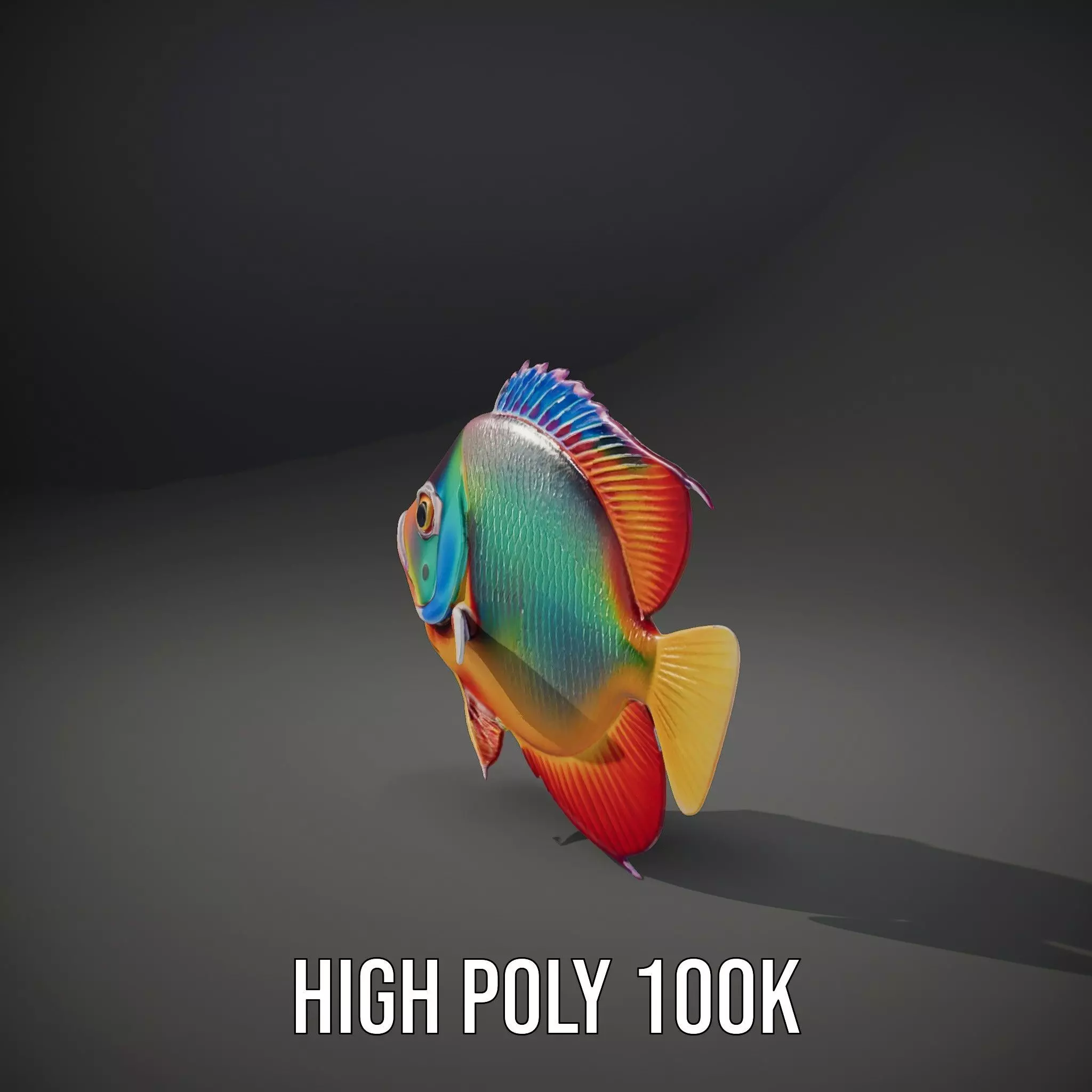 Vibrant Aquatic Fish model pack Low-poly 3D model_9