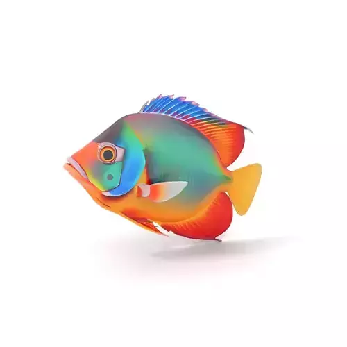 Vibrant Aquatic Fish model pack