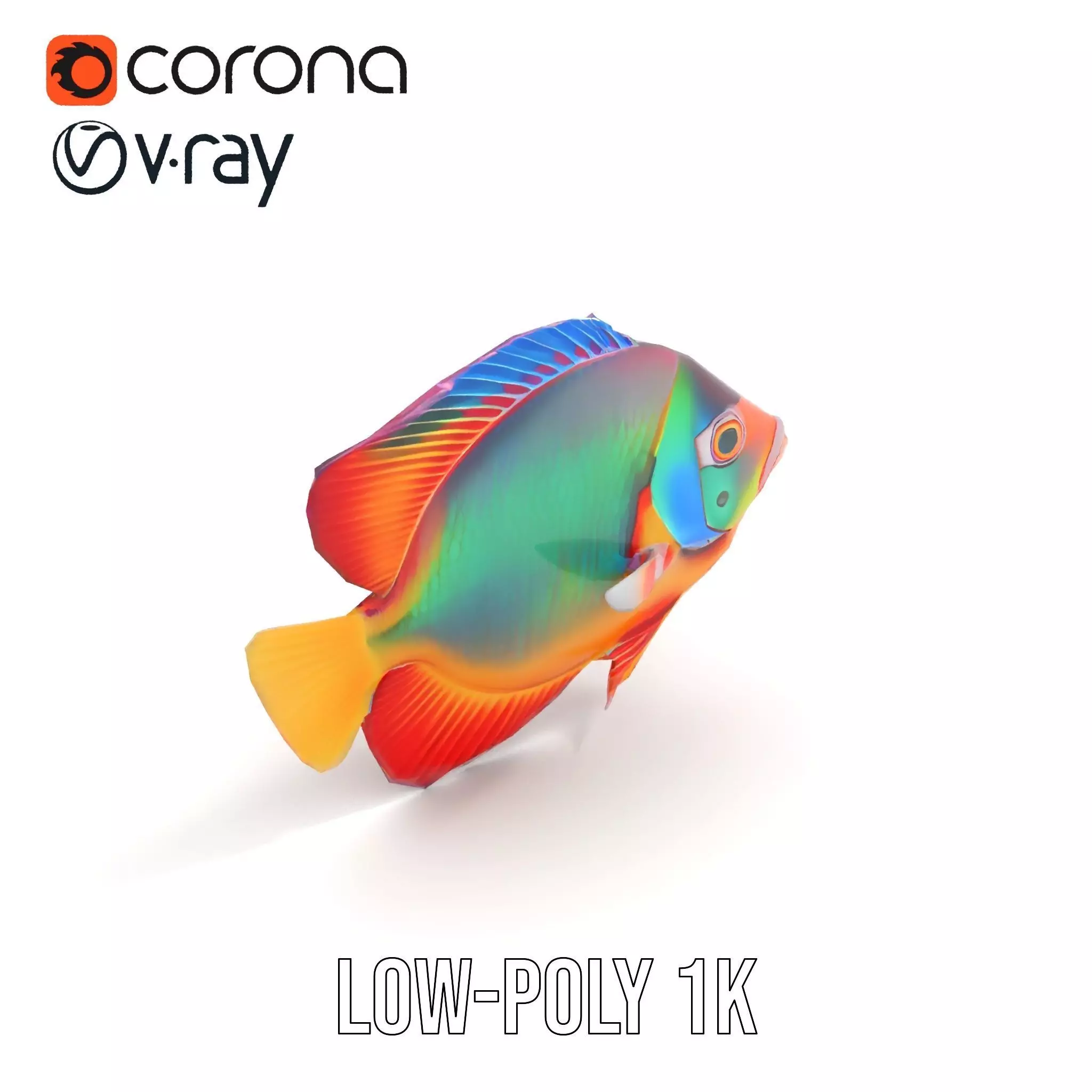 Vibrant Aquatic Fish model pack Low-poly 3D model_24