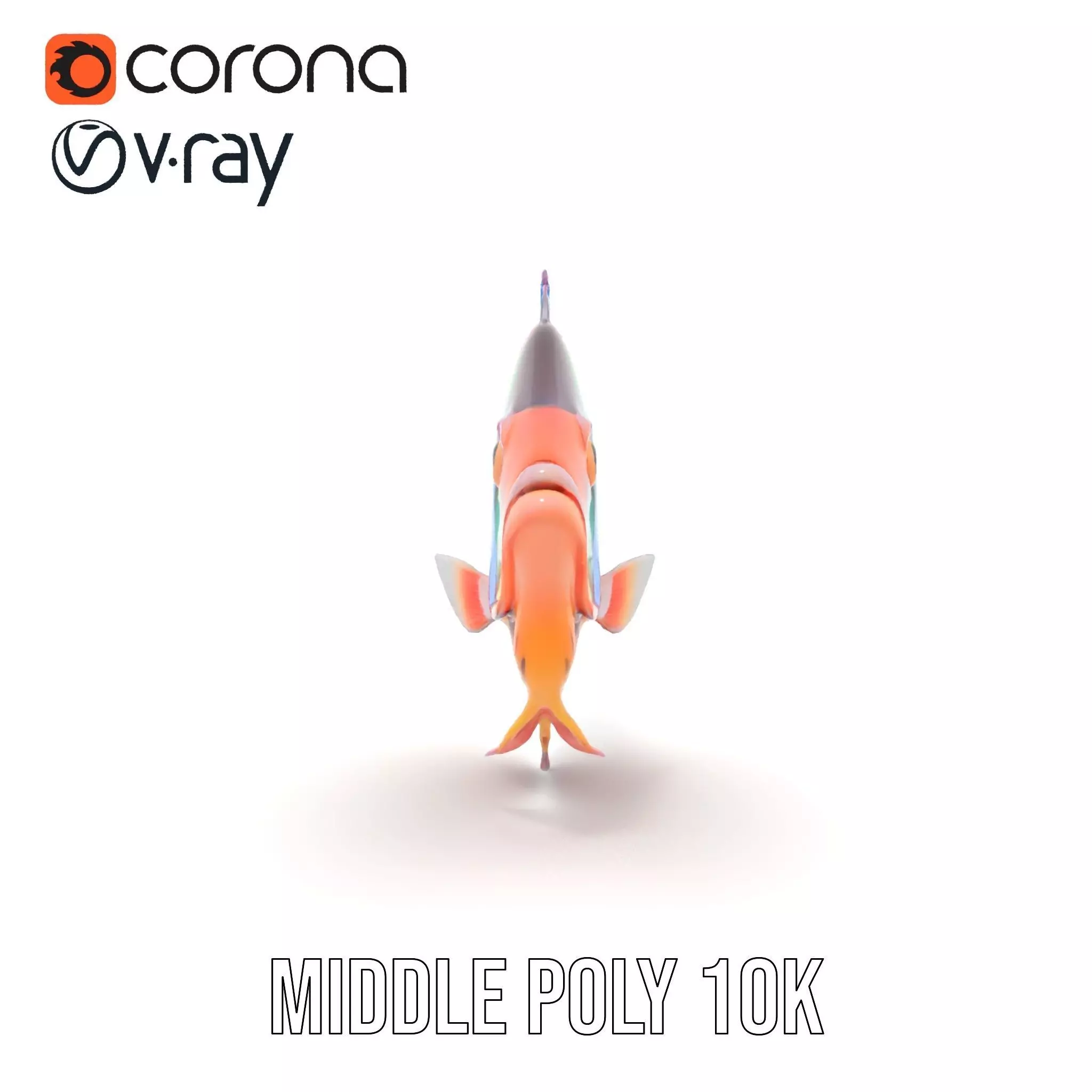 Vibrant Aquatic Fish model pack Low-poly 3D model_6