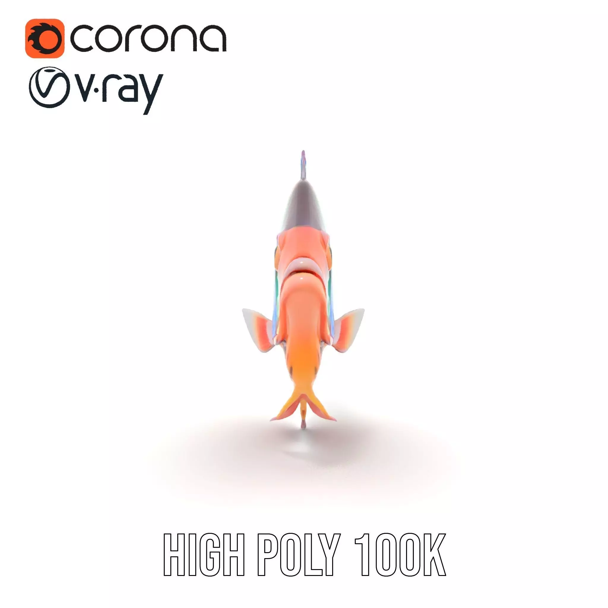 Vibrant Aquatic Fish model pack Low-poly 3D model_27