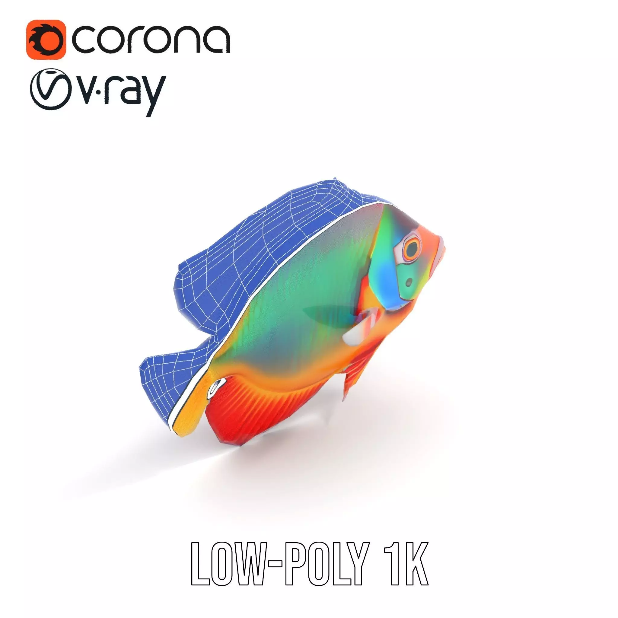 Vibrant Aquatic Fish model pack Low-poly 3D model_10