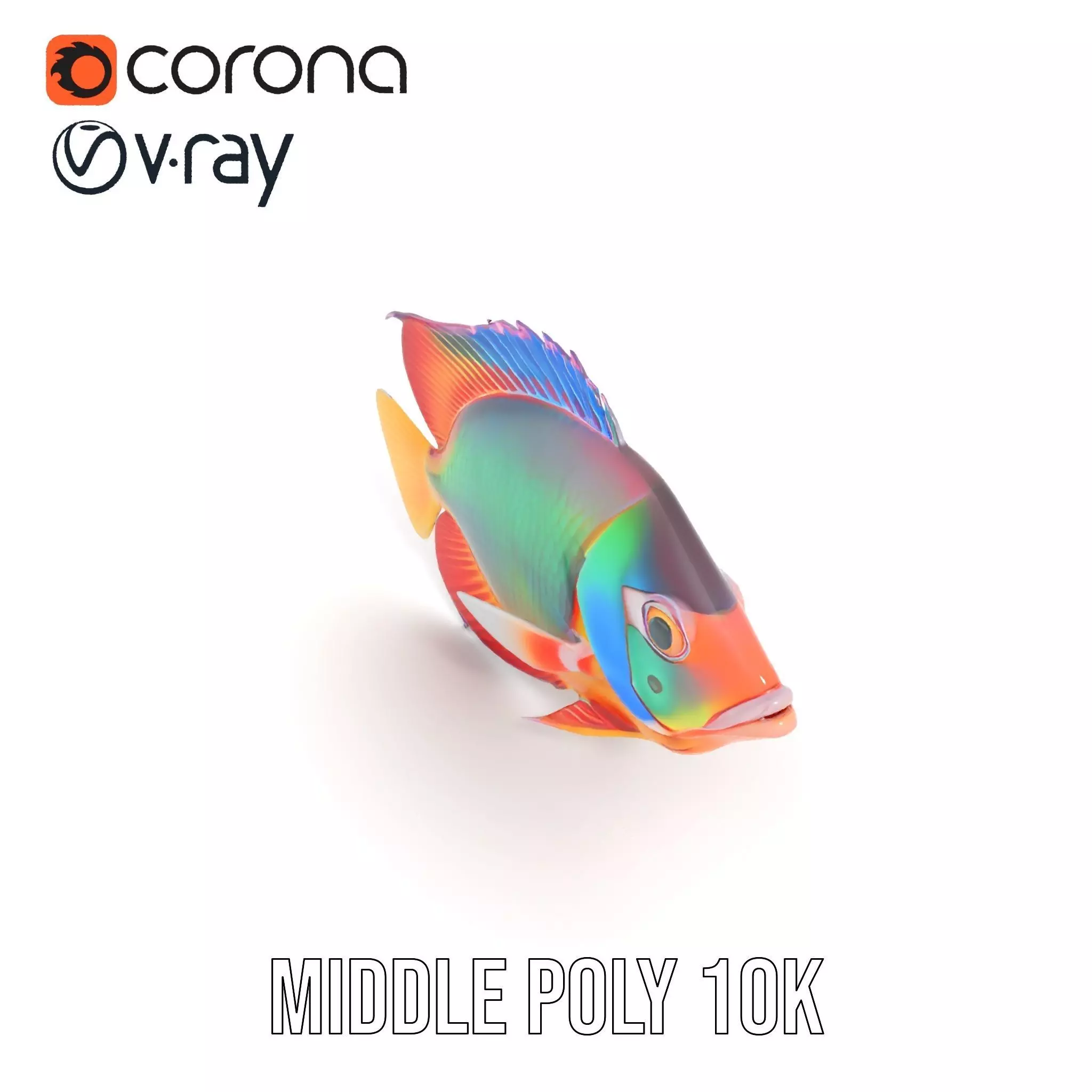 Vibrant Aquatic Fish model pack Low-poly 3D model_17