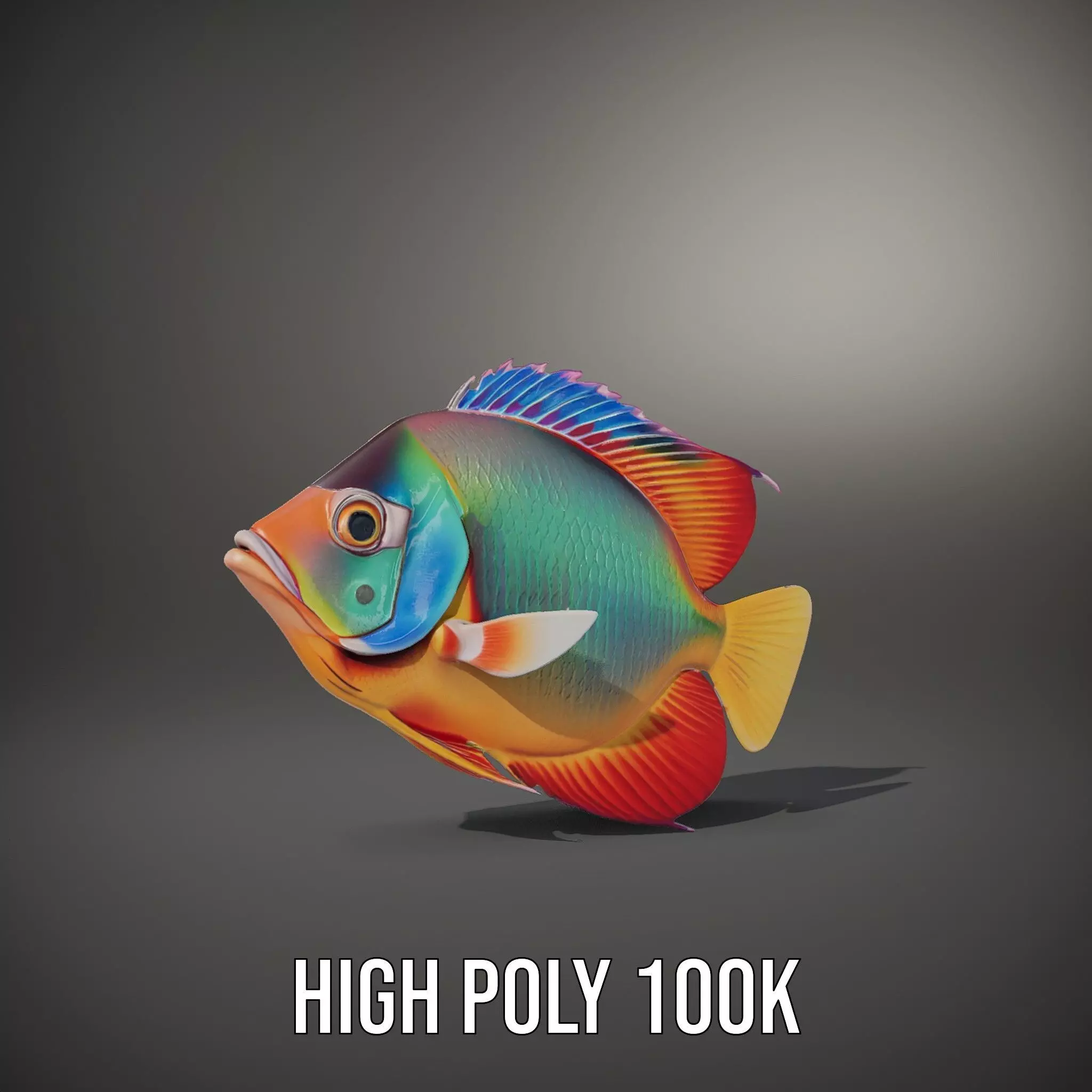 Vibrant Aquatic Fish model pack Low-poly 3D model_11