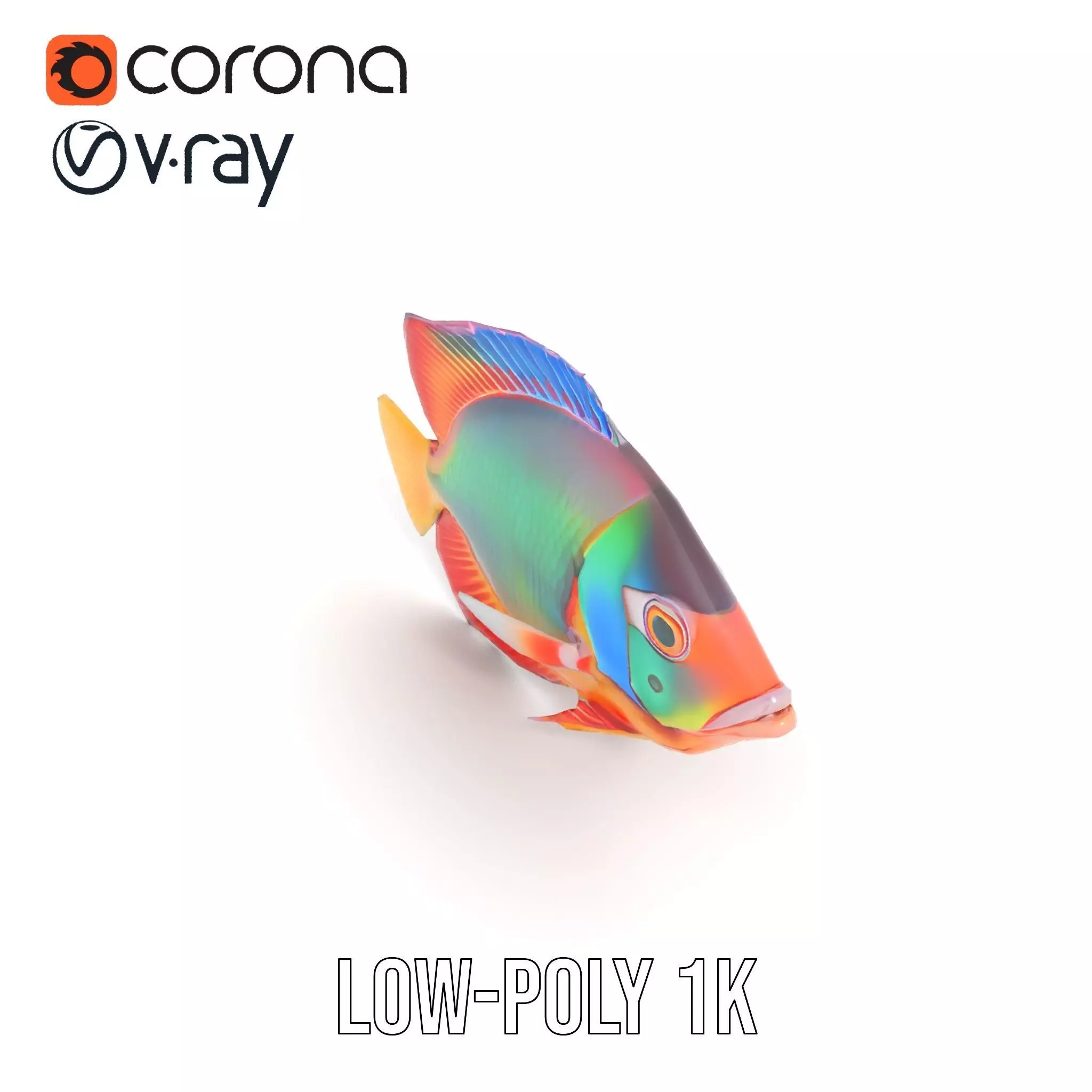 Vibrant Aquatic Fish model pack Low-poly 3D model_15