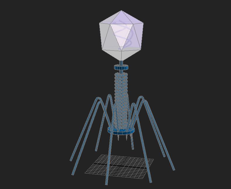 Bacteriophage Virus 3D model_2