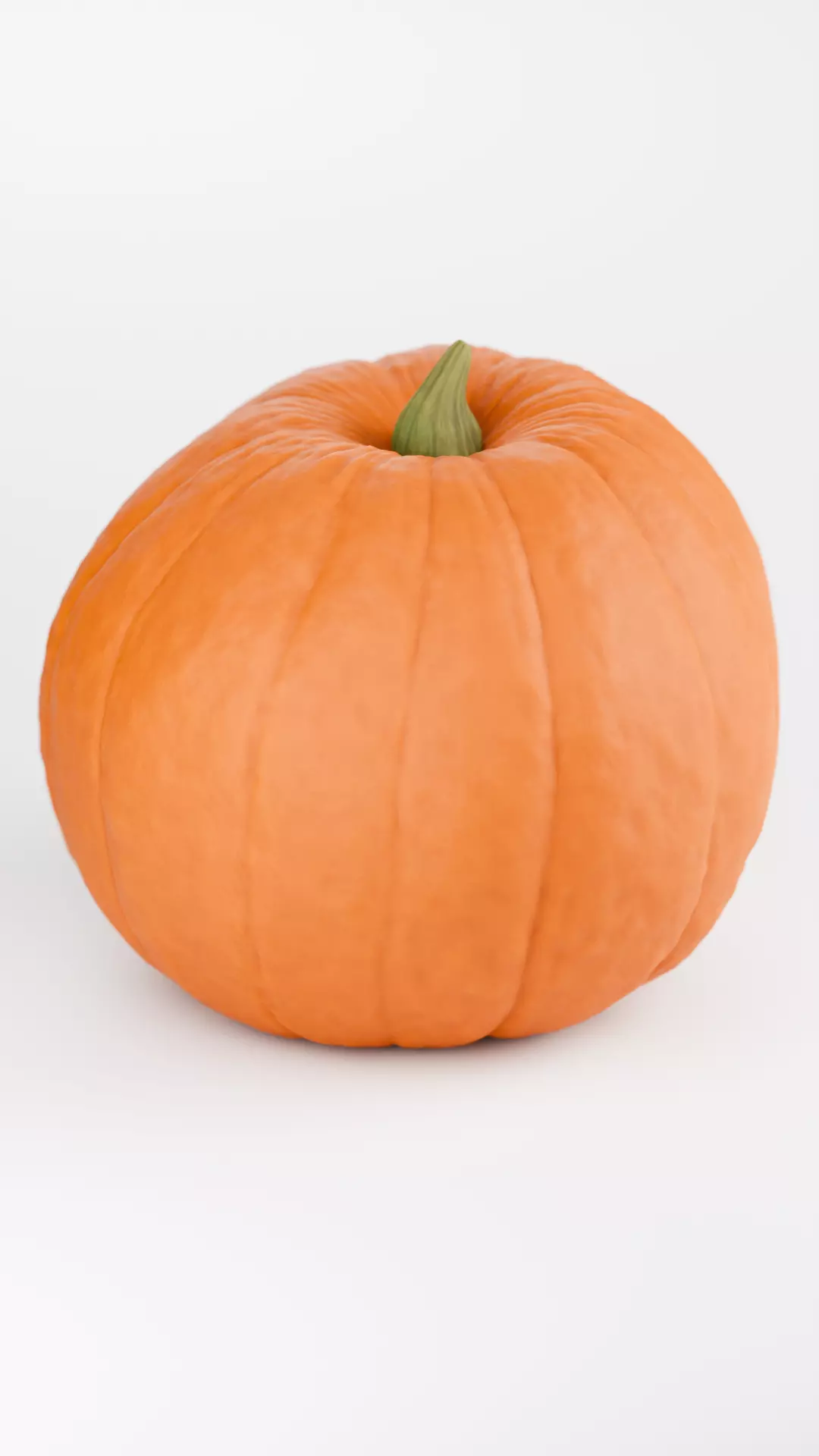 Pumpkin  3D model_1
