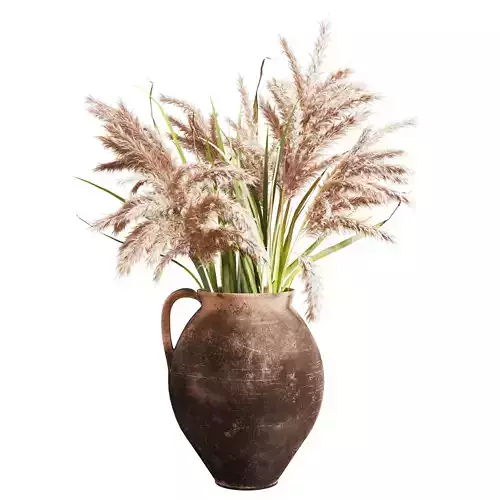 Handcrafted Earthenware Jug with Dried Pampas