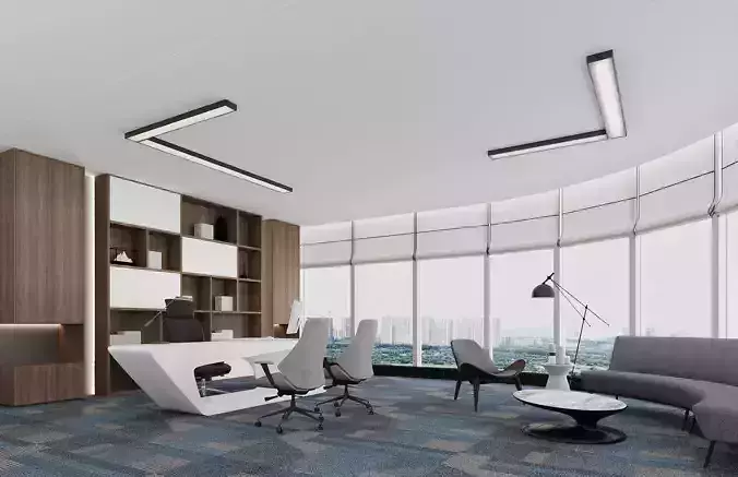 Modern Executive Office Interior