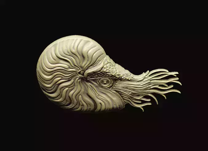 pompilius cnc aspire artcam V carving engrave wood relief  3D print model pompilius cnc aspire artcam V carving engrave wood relief  3D print model