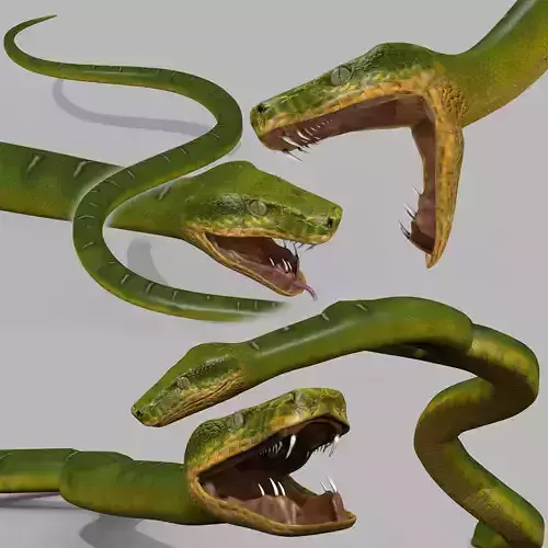 Pro Green Boa Snake - 8k - 3d animated Low-poly 3D model