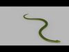 Pro Green Boa Snake - 8k - 3d animated Low-poly 3D model_1