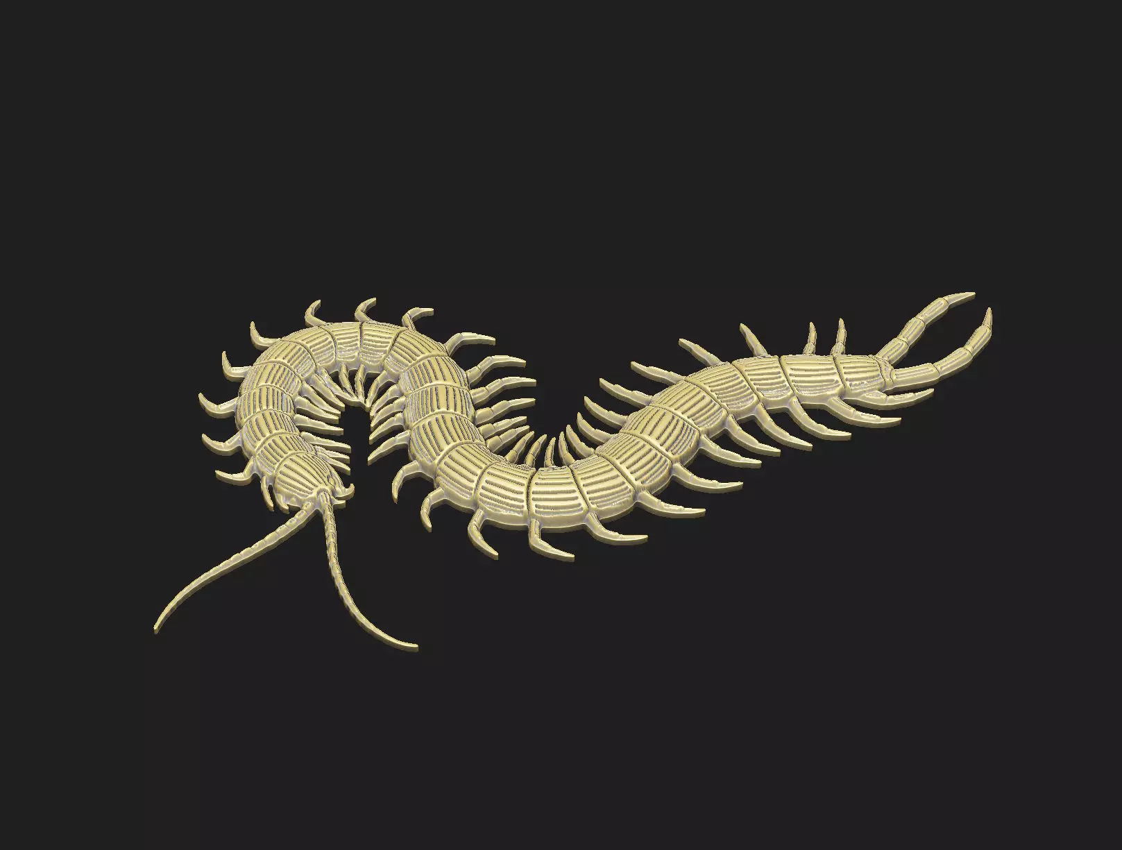 Centipede arthropod invertebrate worm insect spiral  3D print model_2
