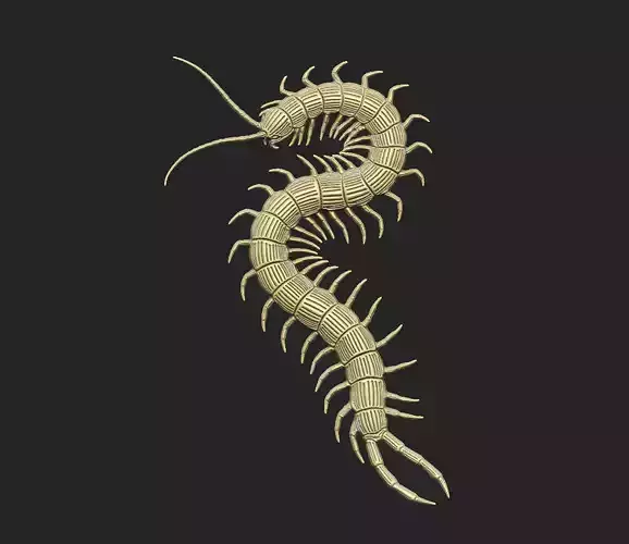 Centipede arthropod invertebrate worm insect spiral  3D print model Centipede arthropod invertebrate worm insect spiral  3D print model