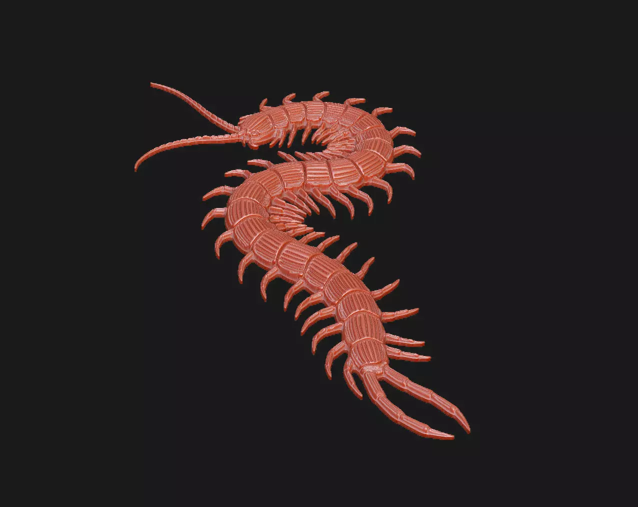 Centipede arthropod invertebrate worm insect spiral  3D print model_3