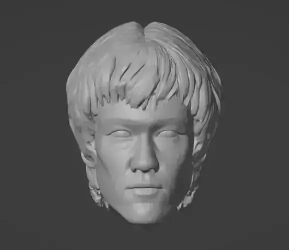 Bruce Lee Head