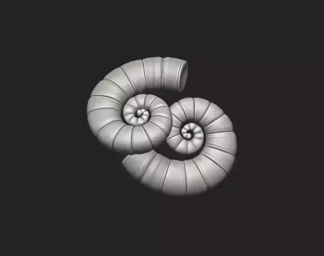 Shell Spirula Spirula - Sea Shell 3D Printable Model
