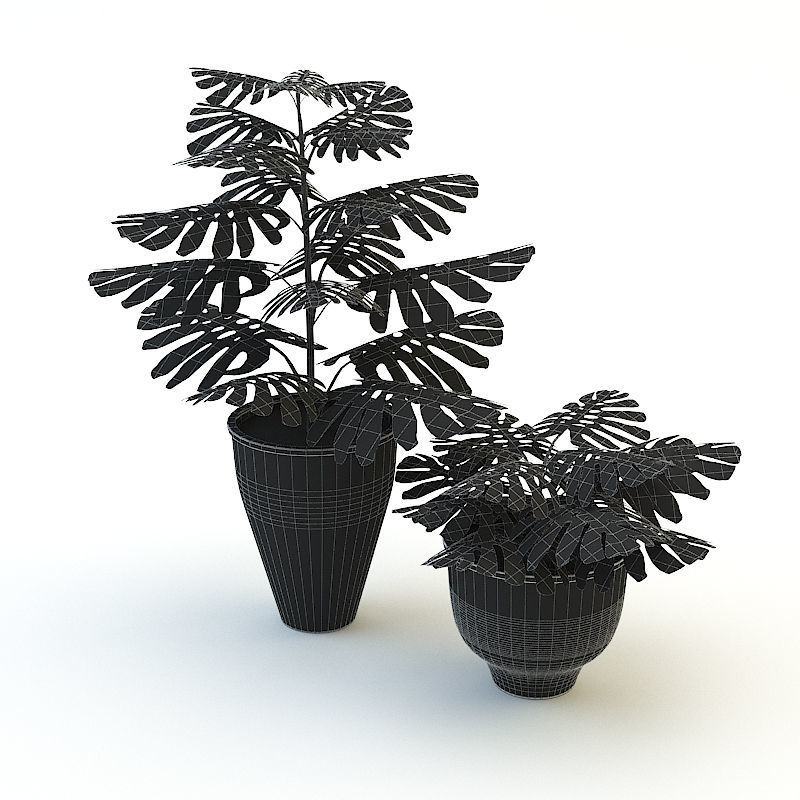 Plants Monstera Low-poly 3D model_4