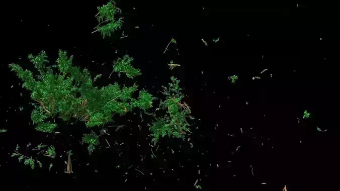 Houdini Tree Destruction Asset Low-poly 3D model