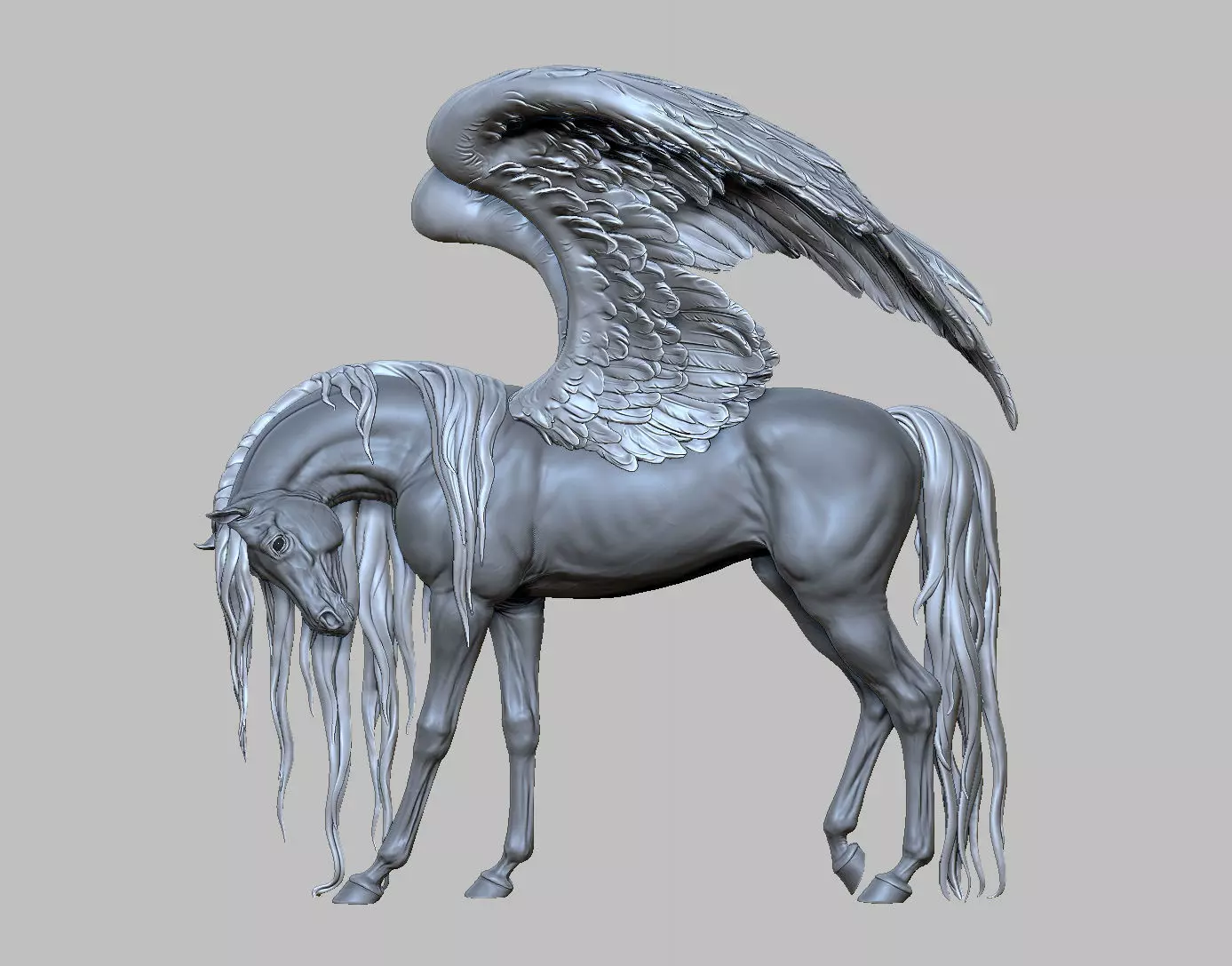 Pegasus - 3D Sculpting - High Poly  3D print model_18