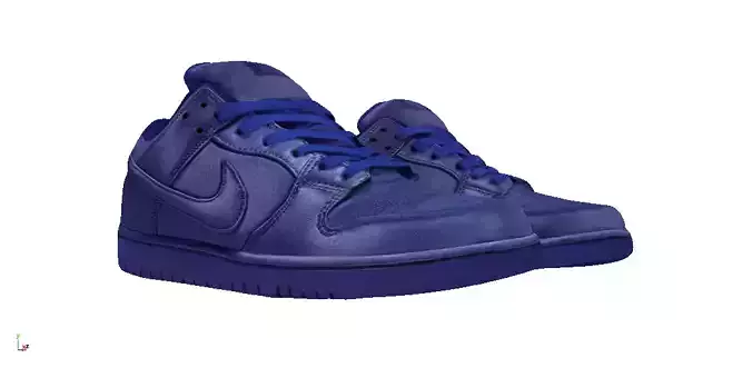 NBA X Nike SB Dunk low