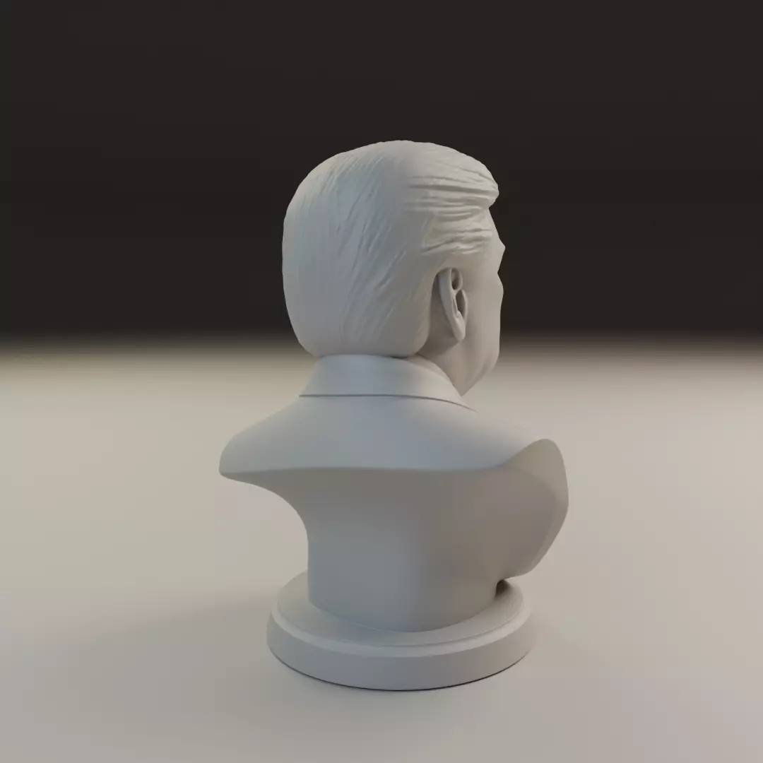 Donald Trump bust 3D print model_13