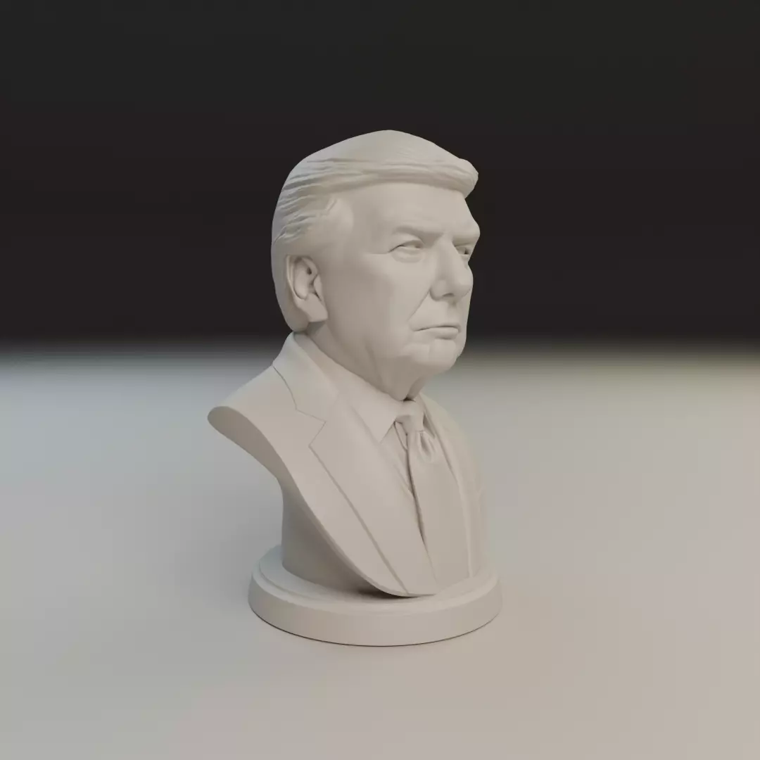 Donald Trump bust 3D print model_11