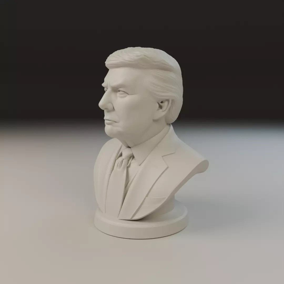Donald Trump bust 3D print model_9