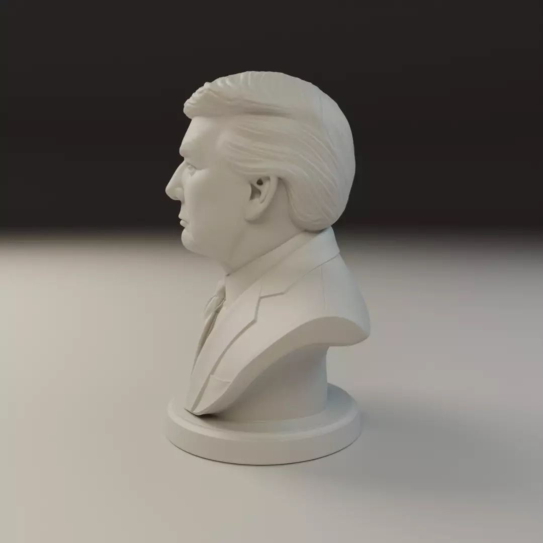 Donald Trump bust 3D print model_3